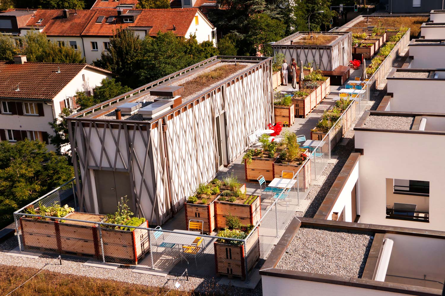 Dachgarten Triemli